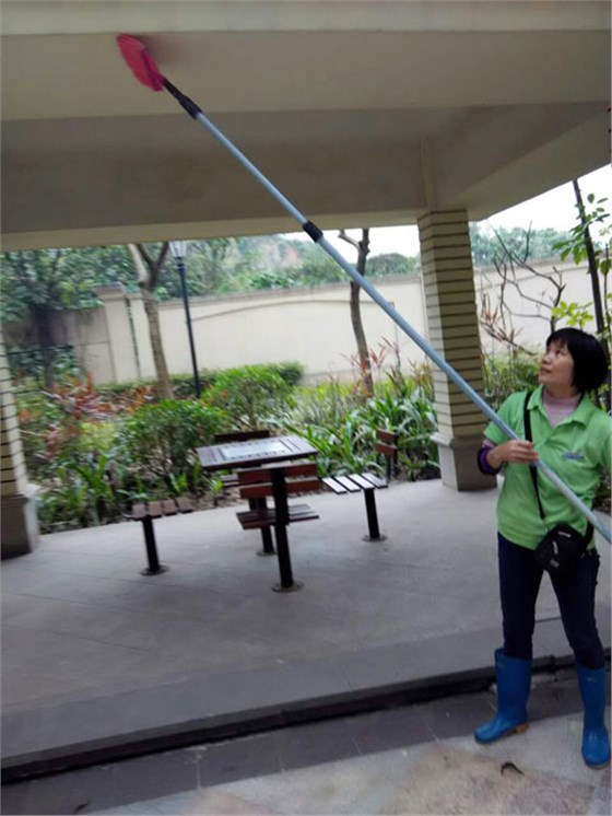明捷清理蜘蛛网服务现场